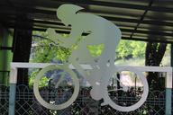 cyclist-bicycle-sports-cycling-1320847.jpg