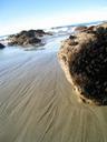 moeraki-boulders-sea-new-zealand-505238.jpg