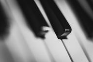 Keys-piano-sh.jpg