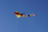 dragons-kite-flying-sky-blue-1047126.jpg