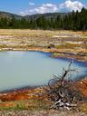 yellowstone-national-park-wyoming-215182.jpg