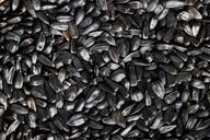 sunflower-seeds-sunflower-seeds-1237735.jpg