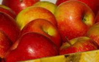 apples-fruit-red-apple-collection-980738.jpg