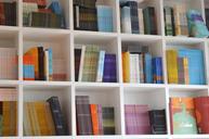 books-bookcase-organization-library-1643106.jpg