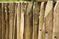 fence-wood-battens-wood-fence-1436397.jpg