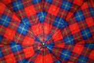 umbrella-colorful-screen-parasol-406150.jpg