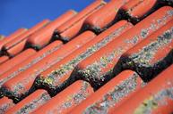 roof-tile-clay-tiles-pantile-red-1559814.jpg