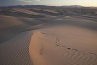 sand-dunes-wilderness-landscape-dry-1550392.jpg