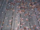 boardwalk-weathered-leaves-autumn-552339.jpg