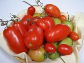 tomatoes-tomato-crop-red-908705.jpg