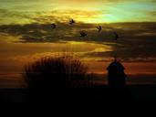 landscape-sky-birds-church-tree-662087.jpg