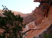 zion-national-park-national-park-4917.jpg