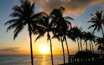 sunset-palm-tropical-paradise-683294.jpg