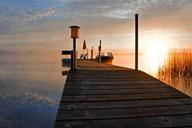 pier-fog-pond-nature-landscape-346312.jpg