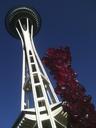 seattle-space-needle-landmark-526284.jpg