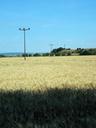 wheat-field-wheat-mast-line-395545.jpg