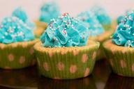 cupcake-frosting-blue-sprinkles-1498601.jpg