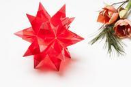 poinsettia-origami-230232.jpg