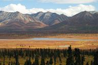 alaska-wilderness-mountains-67307.jpg