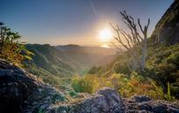 valley-view-landscape-vegetation-801739.jpg