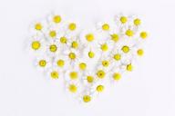 daisy-heart-daisy-heart-love-1535532.jpg