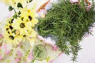 rosemary-herb-food-healthy-919234.jpg