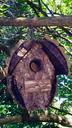 birdhouse-bird-house-wooden-1638718.jpg