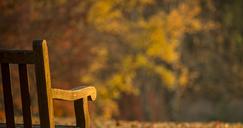 park-seat-bench-virginia-autumn-444223.jpg