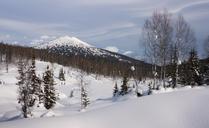 siberia-winter-snow-kuznetsk-alatau-63182.jpg