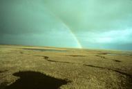 Summer rainbow in swamp over lakes.jpg