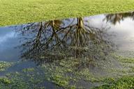 golf-golf-course-flooding-water-1135189.jpg