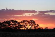 sunset-silhouette-kalahari-africa-1630329.jpg