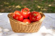 fresh-tomatoes-basket-tomato-1153454.jpg