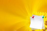 Grunge-greeting-card-old-paper-background-with-sunflower.jpg