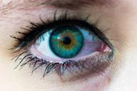 eye-color-iris-view-human-229957.jpg