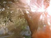 sunlight-rays-bright-glowing-glows-108766.jpg