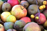 apples-fruit-fruits-healthy-983558.jpg