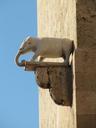 elephant-tower-cagliari-sardinia-526149.jpg