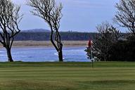 golf-golf-course-green-course-881326.jpg