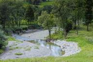 torrent-river-the-stones-tree-448022.jpg