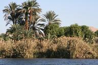 nile-bank-travel-egypt-nature-706815.jpg