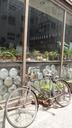 bicycle-shop-characteristic-401623.jpg