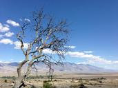 california-desert-sky-nature-1059220.jpg