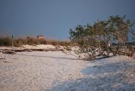 shore-beach-landscape-coast-409205.jpg