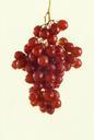 grapes-autumn-seedless-light-green-520714.jpg