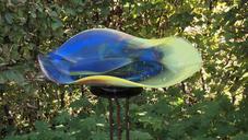 glass-bowl-art-glassblowing-664083.jpg