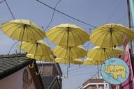 umbrella-yellow-street-ornament-772099.jpg