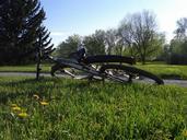 bicycle-bike-lawn-grass-parked-204039.jpg