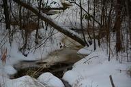 snowy-creek-frozen-forest-stream-651309.jpg