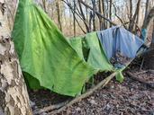 old-tent-forest-camp-forget-655846.jpg